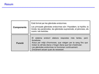 Resum
Components
Funció
Està format per les glàndules endocrines.
Les principals glàndules endocrines són: l’hipotàlem, la hipòfisi, la
tiroide, les paratiroides, les glàndules suprarenals, el pàncrees, els
ovaris i els testicles.
El sistema endocrí elabora respostes més lentes, però
duradores.
Actua per mitjà d’hormones, que viatgen per la sang fins que
troben la cèl·lula diana o l’òrgan diana que han d’estimular.
Les glàndules endocrines no funcionen contínuament.
Únicament actuen quan és necessari.
 