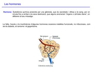 Les hormones
Hormona: Substància química produïda per una glàndula, que és secretada i difosa a la sang, per on
circula fins a arribar a la seva destinació, que alguns anomenen “òrgans o cèl·lules diana”, on
alliberen el seu missatge.
La falta, l’excés o la insuficiència d’algunes hormones ocasiona malalties funcionals, no infeccioses, com
ara la diabetis, el nanisme i el gegantisme.
 
