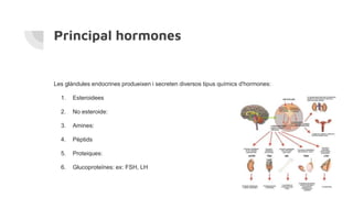 Principal hormones
Les glàndules endocrines produeixen i secreten diversos tipus químics d'hormones:
1. Esteroidees
2. No esteroide:
3. Amines:
4. Pèptids
5. Proteiques:
6. Glucoproteïnes: ex: FSH, LH
 
