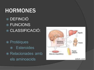 HORMONES
 DEFINCIÓ
 FUNCIONS
 CLASSIFICACIÓ:
 Protèiques
Esteroides
 Relacionades amb
els aminoacids
 