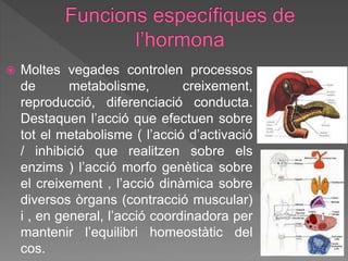  Moltes vegades controlen processos
de metabolisme, creixement,
reproducció, diferenciació conducta.
Destaquen l’acció que efectuen sobre
tot el metabolisme ( l’acció d’activació
/ inhibició que realitzen sobre els
enzims ) l’acció morfo genètica sobre
el creixement , l’acció dinàmica sobre
diversos òrgans (contracció muscular)
i , en general, l’acció coordinadora per
mantenir l’equilibri homeostàtic del
cos.
 