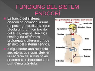  La funció del sistema
endocrí és aconseguir una
resposta generalitzada (que
afecta un gran nombre de
cèl·lules, òrgans i teixits) i
sostinguda (d’efectes
prolongats), diferenciant-se
en això del sistema nerviós.
 o sigui donar una resposta
secretora, que consisteix en
la secreció de substàncies
anomenades hormones per
part d’una glàndula.
 