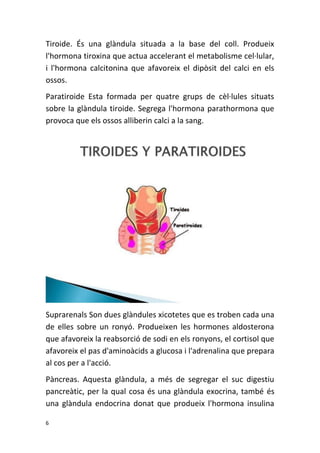 6
Tiroide. És una glàndula situada a la base del coll. Produeix
l'hormona tiroxina que actua accelerant el metabolisme cel·lular,
i l'hormona calcitonina que afavoreix el dipòsit del calci en els
ossos.
Paratiroide Esta formada per quatre grups de cèl·lules situats
sobre la glàndula tiroide. Segrega l'hormona parathormona que
provoca que els ossos alliberin calci a la sang.
Suprarenals Son dues glàndules xicotetes que es troben cada una
de elles sobre un ronyó. Produeixen les hormones aldosterona
que afavoreix la reabsorció de sodi en els ronyons, el cortisol que
afavoreix el pas d'aminoàcids a glucosa i l'adrenalina que prepara
al cos per a l'acció.
Pàncreas. Aquesta glàndula, a més de segregar el suc digestiu
pancreàtic, per la qual cosa és una glàndula exocrina, també és
una glàndula endocrina donat que produeix l'hormona insulina
 