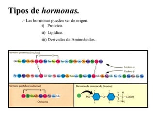 Tipos de  hormonas.   .- Las hormonas pueden ser de origen:  i)  Proteico. ii)  Lipídico. iii) Derivadas de Aminoácidos. 