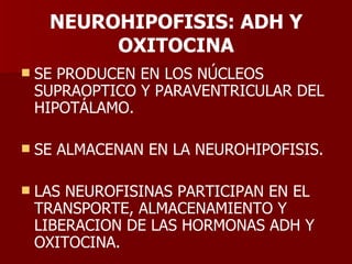 NEUROHIPOFISIS: ADH Y OXITOCINA SE PRODUCEN EN LOS NÚCLEOS SUPRAOPTICO Y PARAVENTRICULAR DEL HIPOTÁLAMO. SE ALMACENAN EN LA NEUROHIPOFISIS. LAS NEUROFISINAS PARTICIPAN EN EL TRANSPORTE, ALMACENAMIENTO Y LIBERACION DE LAS HORMONAS ADH Y OXITOCINA. 