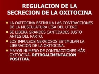 REGULACION DE LA SECRECION DE LA OXITOCINA LA OXITOCINA ESTIMULA LAS CONTRACCIONES DE LA MUSCULATURA LISA DEL UTERO. SE LIBERA GRANDES CANTIDADES JUSTO ANTES DEL PARTO. LOS IMPULSOS NERVIOSOS ESTIMULAN LA LIBERACION DE LA OXITOCINA. MAYOR NUMERO DE CONTRACCIONES MÁS OXITOCINA,  RETROALIMENTACION POSITIVA . 