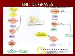 ENF. DE GRAVES 
