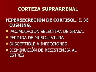 CORTEZA SUPRARRENAL HIPERSECRECIÓN DE CORTISOL . E, DE  CUSHING. ACUMULACIÓN SELECTIVA DE GRASA. PÉRDIDA DE MUSCULATURA SUSCEPTIBLE A INFECCIONES DISMINUCIÓN DE RESISTENCIA AL ESTRÉS 