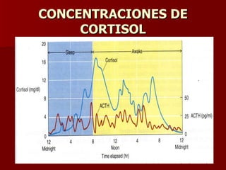 CONCENTRACIONES DE CORTISOL 