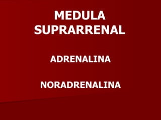 MEDULA SUPRARRENAL ADRENALINA NORADRENALINA 
