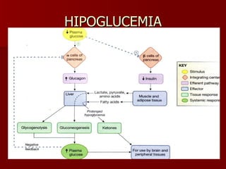 HIPOGLUCEMIA 