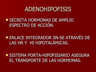ADENOHIPOFISIS SECRETA HORMONAS DE AMPLIO ESPECTRO DE ACCIÓN. ENLACE INTEGRADOR SN-SE ATRAVÉS DE LAS HR Y  HI HIPOTALÁMICAS. SISTEMA PORTA-HIPOFISIARIO ASEGURA EL TRANSPORTE DE LAS HORMONAS. 