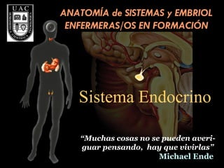 Sistema Endocrino “ Muchas cosas no se pueden averi-guar pensando,  hay que vivirlas” Michael Ende ANATOMÍA de SISTEMAS y EMBRIOL ENFERMERAS/OS EN FORMACIÓN 