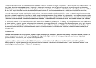 La liberación de hormonas está regulada también por la cantidad de sustancias circulantes en sangre, cuya presencia o utilización queda bajo control hormonal. Los
altos niveles de glucosa en la sangre estimulan la producción y liberación de insulina (ver diabetes mellitus) mientras que los niveles reducidos estimulan a las
glándulas suprarrenales para producir adrenalina y glucagón; así se mantiene el equilibrio en el metabolismo de los hidratos de carbono. De igual manera, un déficit
de calcio en la sangre estimula la secreción de hormona paratiroidea, mientras que los niveles elevados estimulan la liberación de calcitonina por el tiroides.

La función endocrina está regulada también por el sistema nervioso, como lo demuestra la respuesta suprarrenal al estrés. Los distintos órganos endocrinos están
sometidos a diversas formas de control nervioso. La médula suprarrenal y la hipófisis posterior son glándulas con rica inervación y controladas de modo directo por
el sistema nervioso. Sin embargo, la corteza suprarrenal, el tiroides y las gónadas, aunque responden a varios estímulos nerviosos, carecen de inervación específica
y mantienen su función cuando se trasplantan a otras partes del organismo. La hipófisis anterior tiene inervación escasa, pero no puede funcionar si se trasplanta.

Se desconoce la forma en que las hormonas ejercen muchos de sus efectos metabólicos y morfológicos. Sin embargo, se piensa que los efectos sobre la función de
las células se deben a su acción sobre las membranas celulares o enzimas, mediante la regulación de la expresión de los genes o mediante el control de la liberación
de iones u otras moléculas pequeñas. Aunque en apariencia no se consumen o se modifican en el proceso metabólico, las hormonas pueden ser destruidas en gran
parte por degradación química. Los productos hormonales finales se excretan con rapidez y se encuentran en la orina en grandes cantidades, y también en las
heces y el sudor.

Ciclos endocrinos

El sistema endocrino ejerce un efecto regulador sobre los ciclos de la reproducción, incluyendo el desarrollo de las gónadas, el periodo de madurez funcional y su
posterior envejecimiento, así como el ciclo menstrual y el periodo de gestación. El patrón cíclico del estro, que es el periodo durante el cual es posible el
apareamiento fértil en los animales, está regulado también por hormonas.

La pubertad, la época de maduración sexual, está determinada por un aumento de la secreción de hormonas hipofisarias estimuladoras de las gónadas o
gonadotropinas, que producen la maduración de los testículos u ovarios y aumentan la secreción de hormonas sexuales. A su vez, las hormonas sexuales actúan
sobre los órganos sexuales auxiliares y el desarrollo sexual general.
 