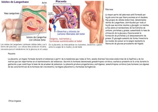 Páncreas

                                                                                                             La mayor parte del páncreas está formado por
                                                                                                             tejido exocrino que libera enzimas en el duodeno.
                                                                                                             Hay grupos de células endocrinas, denominados
                                                                                                             islotes de Langerhans, distribuidos por todo el
                                                                                                             tejido que secretan insulina y glucagón. La insulina
                                                                                                             actúa sobre el metabolismo de los hidratos de
                                                                                                             carbono, proteínas y grasas, aumentando la tasa de
                                                                                                             utilización de la glucosa y favoreciendo la
                                                                                                             formación de proteínas y el almacenamiento de
                                                                                                             grasas. El glucagón aumenta de forma transitoria
                                                                                                             los niveles de azúcar en la sangre mediante la
                                                                                                             liberación de glucosa procedente del hígado.




Placenta

La placenta, un órgano formado durante el embarazo a partir de la membrana que rodea al feto, asume diversas funciones endocrinas de la hipófisis y de los
ovarios que son importantes en el mantenimiento del embarazo. Secreta la hormona denominada gonadotropina coriónica, sustancia presente en la orina durante la
gestación y que constituye la base de las pruebas de embarazo. La placenta produce progesterona y estrógenos, somatotropina coriónica (una hormona con algunas
de las características de la hormona del crecimiento), lactógeno placentario y hormonas lactogénicas.




Otros órganos
 