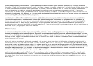 Otros tejidos del organismo producen hormonas o sustancias similares. Los riñones secretan un agente denominado renina que activa la hormona angiotensina
elaborada en el hígado. Esta hormona eleva a su vez la tensión arterial, y se cree que es provocada en gran parte por la estimulación de las glándulas suprarrenales.
Los riñones también elaboran una hormona llamada eritropoyetina, que estimula la producción de glóbulos rojos por la médula ósea. El tracto gastrointestinal
fabrica varias sustancias que regulan las funciones del aparato digestivo, como la gastrina del estómago, que estimula la secreción ácida, y la secretina y
colescistoquinina del intestino delgado, que estimulan la secreción de enzimas y hormonas pancreáticas. La colescistoquinina provoca también la contracción de la
vesícula biliar. En la década de 1980, se observó que el corazón también segregaba una hormona, llamada factor natriurético auricular, implicada en la regulación de
la tensión arterial y del equilibrio hidroelectrolítico del organismo.

La confusión sobre la definición funcional del sistema endocrino se debe al descubrimiento de que muchas hormonas típicas se observan en lugares donde no
ejercen una actividad hormonal. La noradrenalina está presente en las terminaciones nerviosas, donde trasmite los impulsos nerviosos. Los componentes del
sistema renina-angiotensina se han encontrado en el cerebro, donde se desconocen sus funciones. Los péptidos intestinales gastrina, colecistoquinina, péptido
intestinal vasoactivo (VIP) y el péptido inhibidor gástrico (GIP) se han localizado también en el cerebro. Las endorfinas están presentes en el intestino, y la
hormona del crecimiento aparece en las células de los islotes de Langerhans. En el páncreas, la hormona del crecimiento parece actuar de forma local inhibiendo la
liberación de insulina y glucagón a partir de las células endocrinas.

Metabolismo hormonal

Las hormonas conocidas pertenecen a tres grupos químicos: proteínas, esteroides y aminas. Aquellas que pertenecen al grupo de las proteínas o polipéptidos
incluyen las hormonas producidas por la hipófisis anterior, paratiroides, placenta y páncreas. En el grupo de esteroides se encuentran las hormonas de la corteza
suprarrenal y las gónadas. Las aminas son producidas por la médula suprarrenal y el tiroides. La síntesis de hormonas tiene lugar en el interior de las células y, en la
mayoría de los casos, el producto se almacena en su interior hasta que es liberado en la sangre. Sin embargo, el tiroides y los ovarios contienen zonas especiales
para el almacenamiento de hormonas.

La liberación de las hormonas depende de los niveles en sangre de otras hormonas y de ciertos productos metabólicos bajo influencia hormonal, así como de la
estimulación nerviosa. La producción de las hormonas de la hipófisis anterior se inhibe cuando las producidas por la glándula diana (target) particular, la corteza
suprarrenal, el tiroides o las gónadas circulan en la sangre. Por ejemplo, cuando hay una cierta cantidad de hormona tiroidea en el torrente sanguíneo la hipófisis
interrumpe la producción de hormona estimulante del tiroides hasta que el nivel de hormona tiroidea descienda. Por lo tanto, los niveles de hormonas circulantes se
mantienen en un equilibrio constante. Este mecanismo, que se conoce como homeostasis o realimentación negativa , es similar al sistema de activación de un
termostato por la temperatura de una habitación para encender o apagar una caldera.

La administración prolongada procedente del exterior de hormonas adrenocorticales, tiroideas o sexuales interrumpe casi por completo la producción de las
correspondientes hormonas estimulantes de la hipófisis, y provoca la atrofia temporal de las glándulas diana. Por el contrario, si la producción de las glándulas
diana es muy inferior al nivel normal, la producción continua de hormona estimulante por la hipófisis produce una hipertrofia de la glándula, como en el bocio por
déficit de yodo.
 