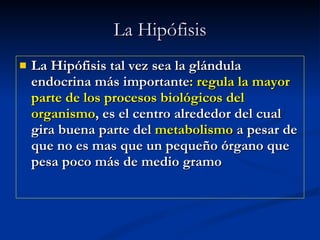 La Hipófisis La Hipófisis tal vez sea la glándula endocrina más importante : regula la mayor parte de los procesos biológicos del organismo , es el centro alrededor del cual gira buena parte del  metabolismo  a pesar de que no es mas que un pequeño órgano que pesa poco más de medio gramo   