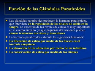 Función de las Glándulas Paratiroides   Las glándulas paratiroides producen la hormona paratiroídea, que interviene  en la regulación de los niveles de calcio en la sangre . La exactitud de los niveles de calcio es muy importante en el cuerpo humano, ya que pequeñas desviaciones pueden  causar trastornos nerviosos y musculares . La hormona paratiroidea estimula las siguientes funciones: La liberación de calcio por medio de los huesos en el torrente sanguíneo.  La absorción de los alimentos por medio de los intestinos.  La conservación de calcio por medio de los riñones 