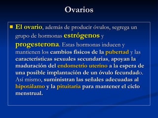Ovarios El ovario , además de producir óvulos, segrega un grupo de hormonas  estrógenos  y  progesterona . Estas hormonas inducen y mantienen los  cambios físicos de la  pubertad   y las  características sexuales secundarias ,  apoyan la maduración del  endometrio   uterino  a la espera de una posible implantación de un óvulo fecundad o. Así mismo,  suministran las señales adecuadas al  hipotálamo  y la  pituitaria  para mantener el ciclo menstrual. 