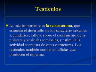 Testículos La más importante es  la testosterona , que estimula el desarrollo de los caracteres sexuales secundarios, influye sobre el crecimiento de la próstata y vesículas seminales, y estimula la actividad secretora de estas estructuras. Los testículos también contienen células que producen el esperma.  