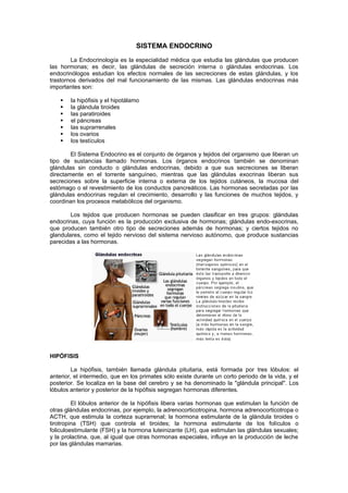 SISTEMA ENDOCRINO
        La Endocrinología es la especialidad médica que estudia las glándulas que producen
las hormonas; es decir, las glándulas de secreción interna o glándulas endocrinas. Los
endocrinólogos estudian los efectos normales de las secreciones de estas glándulas, y los
trastornos derivados del mal funcionamiento de las mismas. Las glándulas endocrinas más
importantes son:

       la hipófisis y el hipotálamo
       la glándula tiroides
       las paratiroides
       el páncreas
       las suprarrenales
       los ovarios
       los testículos

        El Sistema Endocrino es el conjunto de órganos y tejidos del organismo que liberan un
tipo de sustancias llamado hormonas. Los órganos endocrinos también se denominan
glándulas sin conducto o glándulas endocrinas, debido a que sus secreciones se liberan
directamente en el torrente sanguíneo, mientras que las glándulas exocrinas liberan sus
secreciones sobre la superficie interna o externa de los tejidos cutáneos, la mucosa del
estómago o el revestimiento de los conductos pancreáticos. Las hormonas secretadas por las
glándulas endocrinas regulan el crecimiento, desarrollo y las funciones de muchos tejidos, y
coordinan los procesos metabólicos del organismo.

        Los tejidos que producen hormonas se pueden clasificar en tres grupos: glándulas
endocrinas, cuya función es la producción exclusiva de hormonas; glándulas endo-exocrinas,
que producen también otro tipo de secreciones además de hormonas; y ciertos tejidos no
glandulares, como el tejido nervioso del sistema nervioso autónomo, que produce sustancias
parecidas a las hormonas.




HIPÓFISIS

         La hipófisis, también llamada glándula pituitaria, está formada por tres lóbulos: el
anterior, el intermedio, que en los primates sólo existe durante un corto periodo de la vida, y el
posterior. Se localiza en la base del cerebro y se ha denominado la "glándula principal". Los
lóbulos anterior y posterior de la hipófisis segregan hormonas diferentes.

         El lóbulos anterior de la hipófisis libera varias hormonas que estimulan la función de
otras glándulas endocrinas, por ejemplo, la adrenocorticotropina, hormona adrenocorticotropa o
ACTH, que estimula la corteza suprarrenal; la hormona estimulante de la glándula tiroides o
tirotropina (TSH) que controla el tiroides; la hormona estimulante de los folículos o
foliculoestimulante (FSH) y la hormona luteinizante (LH), que estimulan las glándulas sexuales;
y la prolactina, que, al igual que otras hormonas especiales, influye en la producción de leche
por las glándulas mamarias.
 