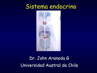 Sistema endocrino Dr. John Araneda G Universidad Austral de Chile 