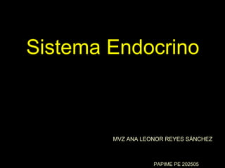 Sistema Endocrino MVZ ANA LEONOR REYES SÁNCHEZ PAPIME PE 202505 