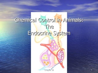 Chemical Control in Animals: The Endocrine System Chapter 32 