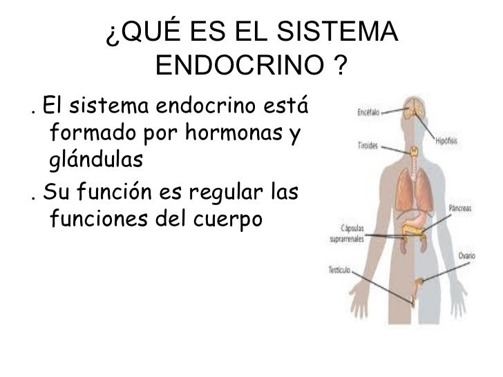 Las formas y el perfil de pecho implantov