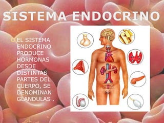  EL SISTEMA
  ENDOCRINO
  PRODUCE
  HORMONAS
  DESDE
  DISTINTAS
  PARTES DEL
  CUERPO, SE
  DENOMINAN
  GLÁNDULAS .
 