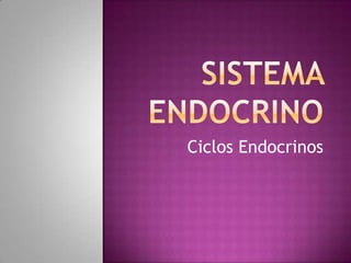 Ciclos Endocrinos
 