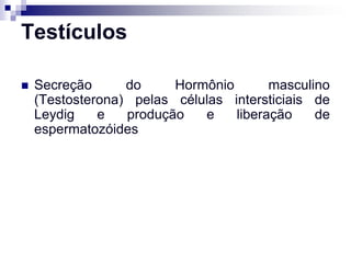 Testículos

   Secreção      do     Hormônio       masculino
    (Testosterona) pelas células intersticiais de
    Leydig    e   produção   e    liberação    de
    espermatozóides
 