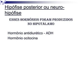 Hipófise posterior ou neuro-
hipófise
  Esses hormônios foram produzidos
           no hipotálamo

 Hormônio antidiurético - ADH
 Hormônio ocitocina
 