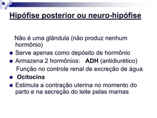 Hipófise posterior ou neuro-hipófise

  Não é uma glândula (não produz nenhum
  hormônio)
 Serve apenas como depósito de hormônio
 Armazena 2 hormônios: ADH (antidiurético)
  Função no controle renal de excreção de água
 Ocitocina
 Estimula a contração uterina no momento do
  parto e na secreção do leite pelas mamas
 
