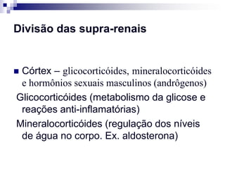 Divisão das supra-renais


Córtex – glicocorticóides, mineralocorticóides
 e hormônios sexuais masculinos (andrôgenos)
Glicocorticóides (metabolismo da glicose e
 reações anti-inflamatórias)
Mineralocorticóides (regulação dos níveis
 de água no corpo. Ex. aldosterona)
 