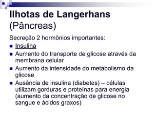 Ilhotas de Langerhans
(Pâncreas)
Secreção 2 hormônios importantes:
 Insulina
 Aumento do transporte de glicose através da
  membrana celular
 Aumento da intensidade do metabolismo da
  glicose
 Ausência de insulina (diabetes) – células
  utilizam gorduras e proteínas para energia
  (aumento da concentração de glicose no
  sangue e ácidos graxos)
 