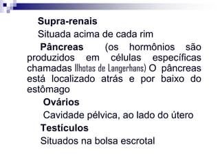 Supra-renais
  Situada acima de cada rim
   Pâncreas        (os hormônios são
produzidos em células específicas
chamadas Ilhotas de Langerhans) O pâncreas
está localizado atrás e por baixo do
estômago
    Ovários
    Cavidade pélvica, ao lado do útero
   Testículos
   Situados na bolsa escrotal
 