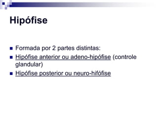 Hipófise

   Formada por 2 partes distintas:
   Hipófise anterior ou adeno-hipófise (controle
    glandular)
   Hipófise posterior ou neuro-hifófise
 