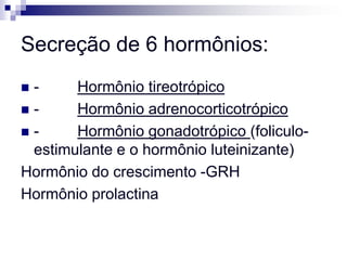 Secreção de 6 hormônios:
-     Hormônio tireotrópico
-     Hormônio adrenocorticotrópico
-     Hormônio gonadotrópico (foliculo-
 estimulante e o hormônio luteinizante)
Hormônio do crescimento -GRH
Hormônio prolactina
 