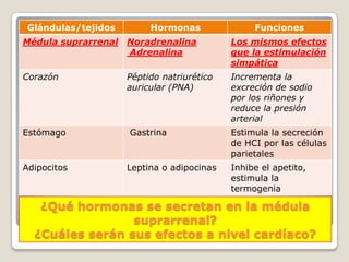 Glándulas/tejidos        Hormonas               Funciones
Médula suprarrenal   Noradrenalina          Los mismos efectos
                     Adrenalina             que la estimulación
                                            simpática
Corazón              Péptido natriurético   Incrementa la
                     auricular (PNA)        excreción de sodio
                                            por los riñones y
                                            reduce la presión
                                            arterial
Estómago             Gastrina               Estimula la secreción
                                            de HCI por las células
                                            parietales
Adipocitos           Leptina o adipocinas   Inhibe el apetito,
                                            estimula la
                                            termogenia

   ¿Qué hormonas se secretan en la médula
                 suprarrenal?
  ¿Cuáles serán sus efectos a nivel cardíaco?
 