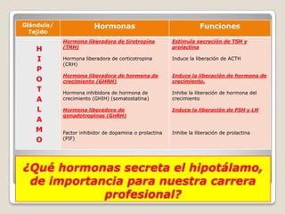 Glándula/               Hormonas                                    Funciones
  Tejido
            Hormona liberadora de tirotropina           Estimula secreción de TSH y
            (TRH)                                       prolactina
   H
   I        Hormona liberadora de corticotropina        Induce la liberación de ACTH
            (CRH)
   P
            Hormona liberadora de hormona de            Induce la liberación de hormona de
   O        crecimiento (GHRH)                          crecimiento.
   T        Hormona inhibidora de hormona de            Inhibe la liberación de hormona del
   A        crecimiento (GHIH) (somatostatina)          crecimiento

   L        Hormona liberadora de                       Induce la liberación de FSH y LH
            gonadotropinas (GnRH)
   A
   M        Factor inhibidor de dopamina o prolactina   Inhibe la liberación de prolactina
   O        (PIF)




¿Qué hormonas secreta el hipotálamo,
 de importancia para nuestra carrera
            profesional?
 