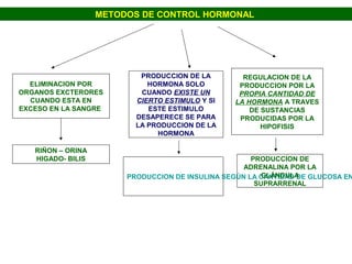 METODOS DE CONTROL HORMONAL




                           PRODUCCION DE LA        REGULACION DE LA
  ELIMINACION POR            HORMONA SOLO         PRODUCCION POR LA
ORGANOS EXCTERORES         CUANDO EXISTE UN       PROPIA CANTIDAD DE
  CUANDO ESTA EN          CIERTO ESTIMULO Y SI   LA HORMONA A TRAVES
EXCESO EN LA SANGRE          ESTE ESTIMULO           DE SUSTANCIAS
                          DESAPERECE SE PARA      PRODUCIDAS POR LA
                          LA PRODUCCION DE LA           HIPOFISIS
                               HORMONA

   RIÑON – ORINA
   HIGADO- BILIS                                      PRODUCCION DE
                                                    ADRENALINA POR LA
                                                         GLÁNDULA
                        PRODUCCION DE INSULINA SEGÚN LA CANTIDAD DE GLUCOSA EN
                                                       SUPRARRENAL
 