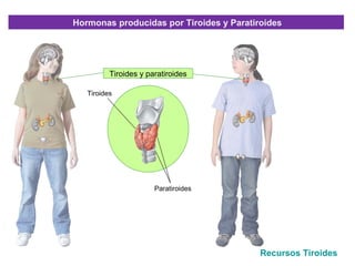 Hormonas producidas por Tiroides y Paratiroides




          Tiroides y paratiroides

   Tiroides




                       Paratiroides




                                          Recursos Tiroides
 
