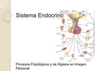 Sistema Endocrino




Procesos Fisiológicos y de Higiene en Imagen
Personal
 