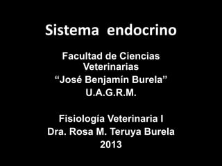 Sistema endocrino
  Facultad de Ciencias
      Veterinarias
 “José Benjamín Burela”
       U.A.G.R.M.

  Fisiología Veterinaria I
Dra. Rosa M. Teruya Burela
           2013
 