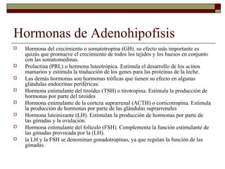 Hormonas de Adenohipofisis
   Hormona del crecimiento o somatotropina (GH). su efecto más importante es
    quizás que promueve el crecimiento de todos los tejidos y los huesos en conjunto
    con las somatomedinas.
   Prolactina (PRL) u hormona luteotrópica. Estimula el desarrollo de los acinos
    mamarios y estimula la traducción de los genes para las proteínas de la leche.
   Las demás hormonas son hormonas tróficas que tienen su efecto en algunas
    glándulas endocrinas periféricas:
   Hormona estimulante del tiroides (TSH) o tirotropina. Estimula la producción de
    hormonas por parte del tiroides
   Hormona estimulante de la corteza suprarrenal (ACTH) o corticotropina. Estimula
    la producción de hormonas por parte de las glándulas suprarrenales
   Hormona luteinizante (LH). Estimulan la producción de hormonas por parte de
    las gónadas y la ovulación.
   Hormona estimulante del folículo (FSH). Complementa la función estimulante de
    las gónadas provocada por la (LH).
   la LH y la FSH se denominan gonadotropinas, ya que regulan la función de las
    gónadas.
 