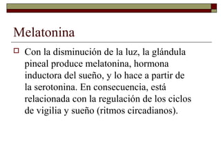 Melatonina
   Con la disminución de la luz, la glándula
    pineal produce melatonina, hormona
    inductora del sueño, y lo hace a partir de
    la serotonina. En consecuencia, está
    relacionada con la regulación de los ciclos
    de vigilia y sueño (ritmos circadianos).
 