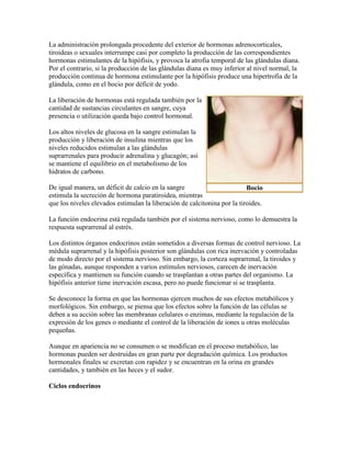 La administración prolongada procedente del exterior de hormonas adrenocorticales,
tiroideas o sexuales interrumpe casi por completo la producción de las correspondientes
hormonas estimulantes de la hipófisis, y provoca la atrofia temporal de las glándulas diana.
Por el contrario, si la producción de las glándulas diana es muy inferior al nivel normal, la
producción continua de hormona estimulante por la hipófisis produce una hipertrofia de la
glándula, como en el bocio por déficit de yodo.
La liberación de hormonas está regulada también por la
cantidad de sustancias circulantes en sangre, cuya
presencia o utilización queda bajo control hormonal.
Los altos niveles de glucosa en la sangre estimulan la
producción y liberación de insulina mientras que los
niveles reducidos estimulan a las glándulas
suprarrenales para producir adrenalina y glucagón; así
se mantiene el equilibrio en el metabolismo de los
hidratos de carbono.
De igual manera, un déficit de calcio en la sangre
estimula la secreción de hormona paratiroidea, mientras
que los niveles elevados estimulan la liberación de calcitonina por la tiroides.
La función endocrina está regulada también por el sistema nervioso, como lo demuestra la
respuesta suprarrenal al estrés.
Los distintos órganos endocrinos están sometidos a diversas formas de control nervioso. La
médula suprarrenal y la hipófisis posterior son glándulas con rica inervación y controladas
de modo directo por el sistema nervioso. Sin embargo, la corteza suprarrenal, la tiroides y
las gónadas, aunque responden a varios estímulos nerviosos, carecen de inervación
específica y mantienen su función cuando se trasplantan a otras partes del organismo. La
hipófisis anterior tiene inervación escasa, pero no puede funcionar si se trasplanta.
Se desconoce la forma en que las hormonas ejercen muchos de sus efectos metabólicos y
morfológicos. Sin embargo, se piensa que los efectos sobre la función de las células se
deben a su acción sobre las membranas celulares o enzimas, mediante la regulación de la
expresión de los genes o mediante el control de la liberación de iones u otras moléculas
pequeñas.
Aunque en apariencia no se consumen o se modifican en el proceso metabólico, las
hormonas pueden ser destruidas en gran parte por degradación química. Los productos
hormonales finales se excretan con rapidez y se encuentran en la orina en grandes
cantidades, y también en las heces y el sudor.
Ciclos endocrinos
Bocio
 