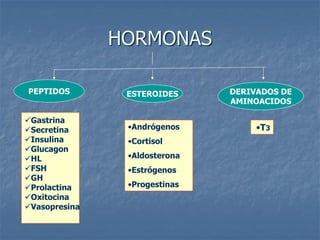 HORMONAS
PEPTIDOS ESTEROIDES DERIVADOS DE
AMINOACIDOS
Gastrina
Secretina
Insulina
Glucagon
HL
FSH
GH
Prolactina
Oxitocina
Vasopresina
•Andrógenos
•Cortisol
•Aldosterona
•Estrógenos
•Progestinas
•T3
 