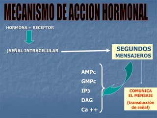 HORMONA + RECEPTOR
(SEÑAL INTRACELULAR SEGUNDOS
MENSAJEROS
AMPc
GMPc
IP3
DAG
Ca ++
COMUNICA
EL MENSAJE
(transducción
de señal)
 
